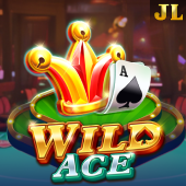 Wild Ace win63